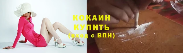 соль ск Алзамай