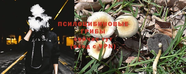 соль ск Алзамай
