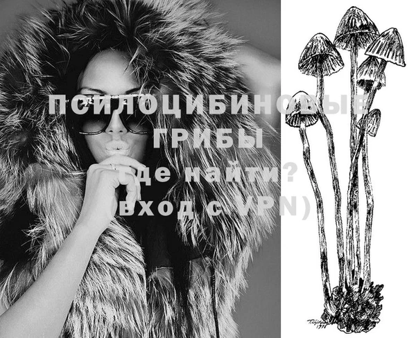 соль ск Алзамай