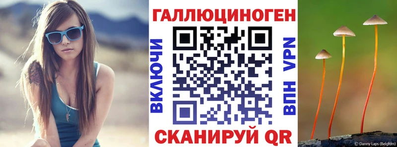 Псилоцибиновые грибы Psilocybe  Змеиногорск 